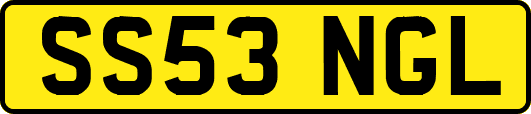 SS53NGL