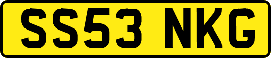 SS53NKG