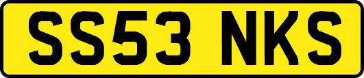 SS53NKS