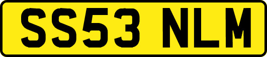 SS53NLM