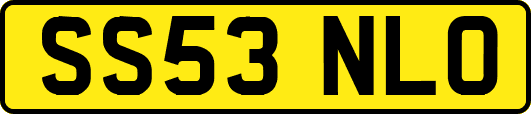 SS53NLO