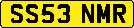 SS53NMR
