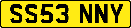SS53NNY