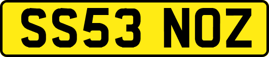SS53NOZ