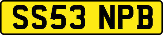 SS53NPB