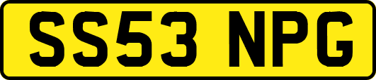 SS53NPG