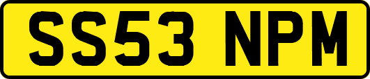 SS53NPM