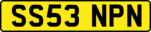 SS53NPN