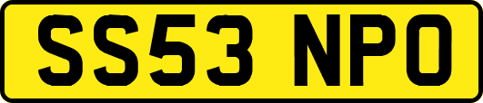 SS53NPO