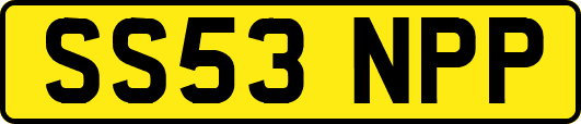 SS53NPP