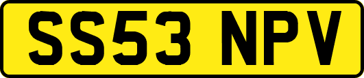 SS53NPV