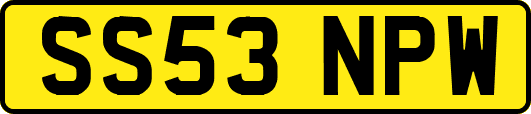 SS53NPW