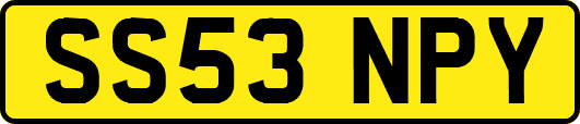 SS53NPY