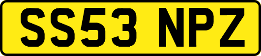 SS53NPZ