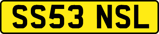 SS53NSL