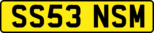 SS53NSM