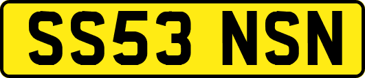 SS53NSN