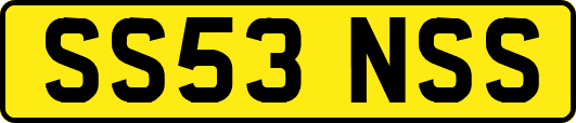 SS53NSS