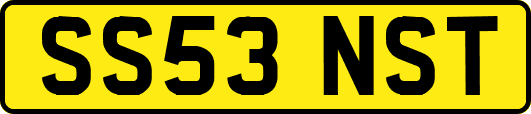 SS53NST