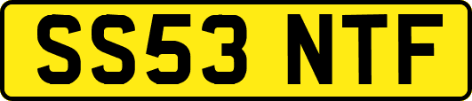 SS53NTF