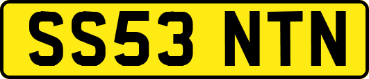 SS53NTN