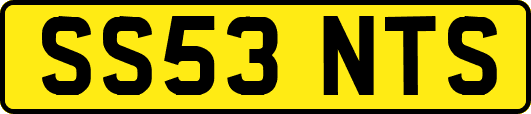 SS53NTS