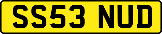 SS53NUD