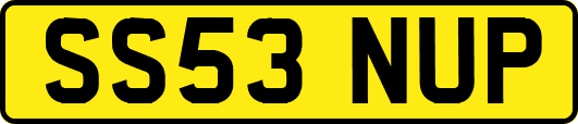 SS53NUP