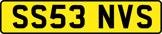 SS53NVS
