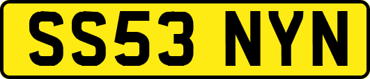 SS53NYN