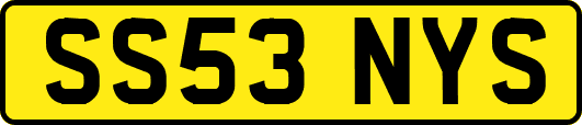 SS53NYS