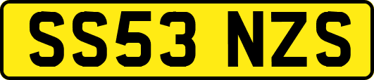SS53NZS