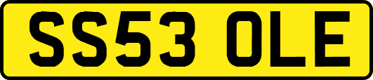 SS53OLE