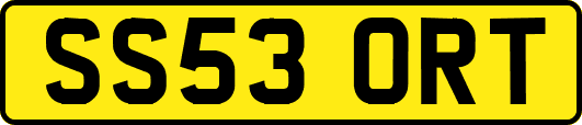 SS53ORT