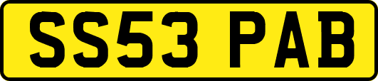 SS53PAB