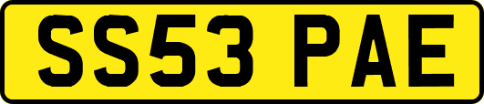 SS53PAE