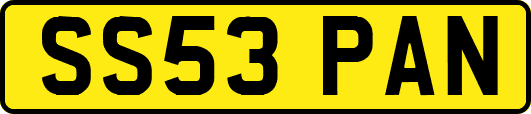 SS53PAN