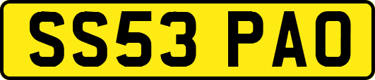 SS53PAO