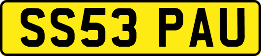 SS53PAU
