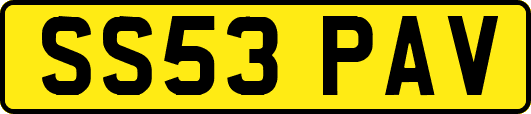 SS53PAV