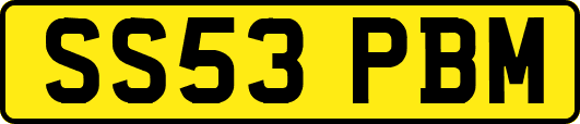 SS53PBM
