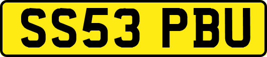 SS53PBU