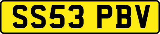 SS53PBV