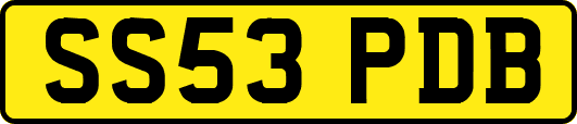 SS53PDB