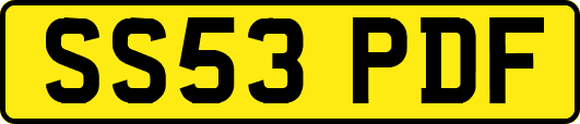SS53PDF