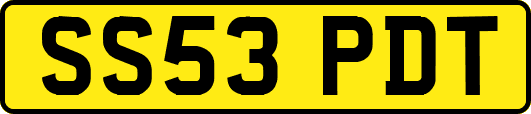 SS53PDT