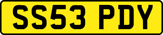 SS53PDY