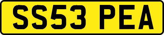 SS53PEA
