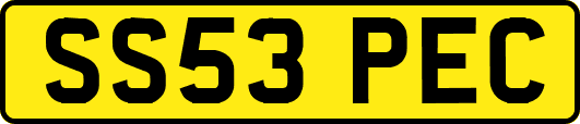 SS53PEC