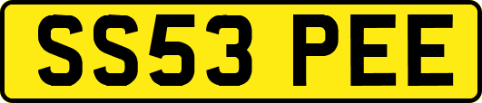 SS53PEE